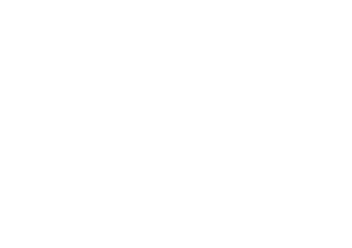 Homiq Elite