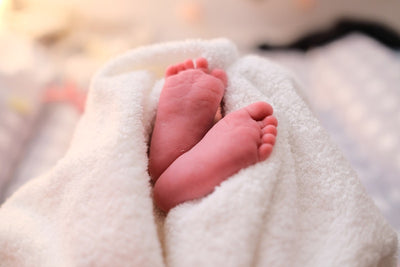 Ultra Soft Flannel Fleece Throw Blanket